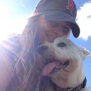 Meet your Posher, Allister